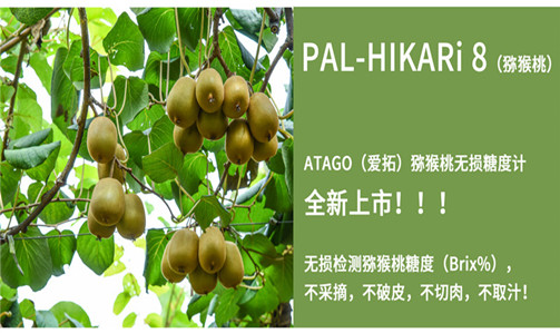【新品快讯】“猕”足珍贵丨ATAGO（爱拓）猕猴桃/奇异果无损糖度计 PAL-HIKARi 8