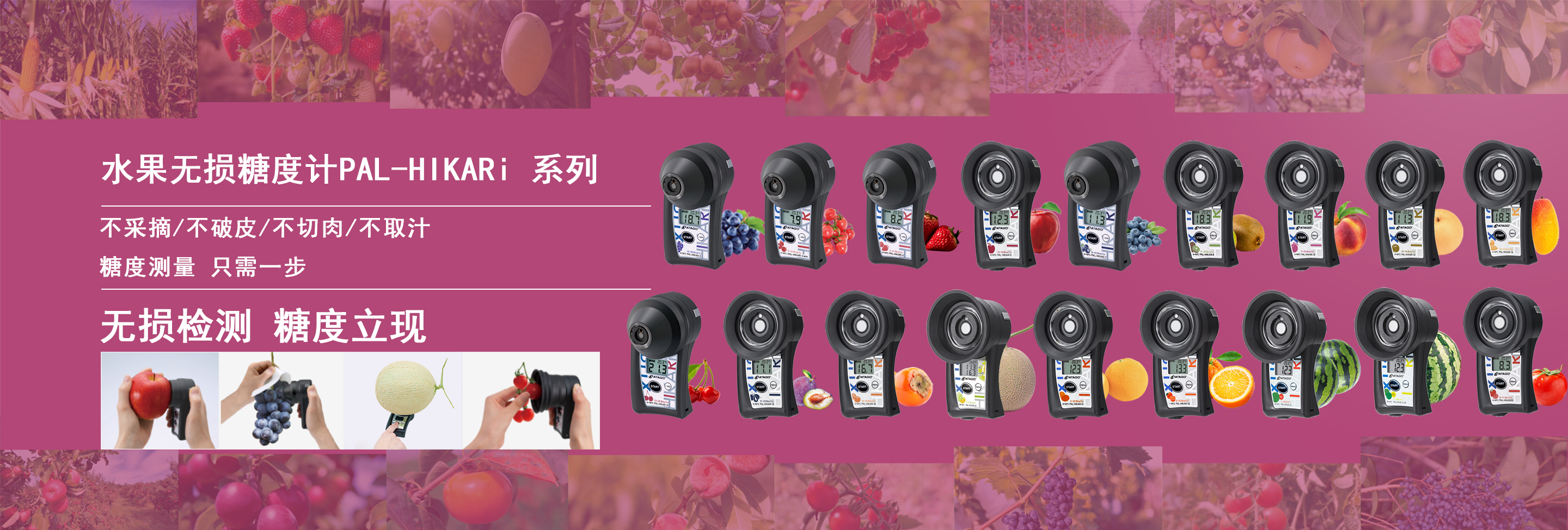 水果无损糖度计---PAL-HIKARi系列