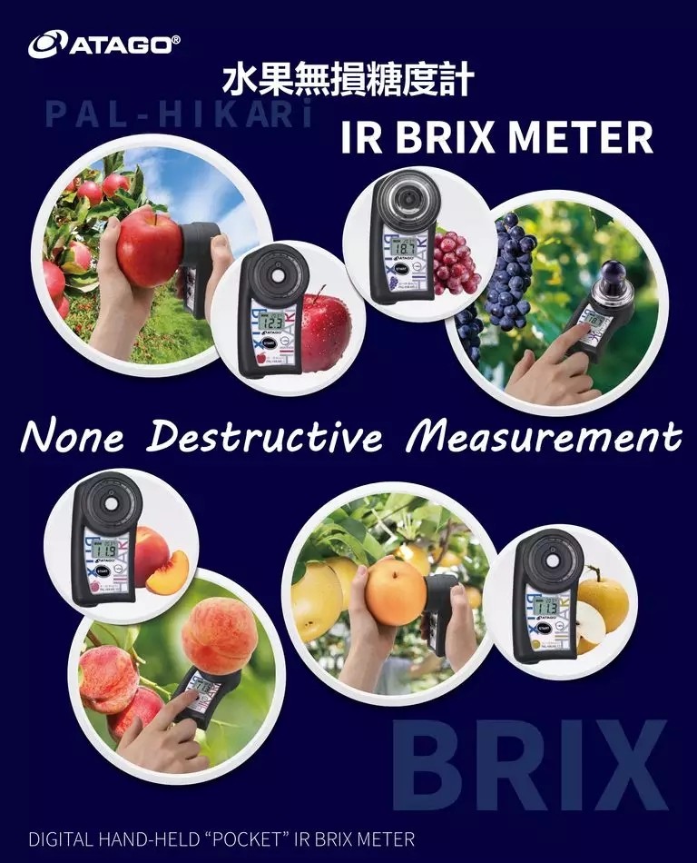 B.webp.jpg B.webp.jpg