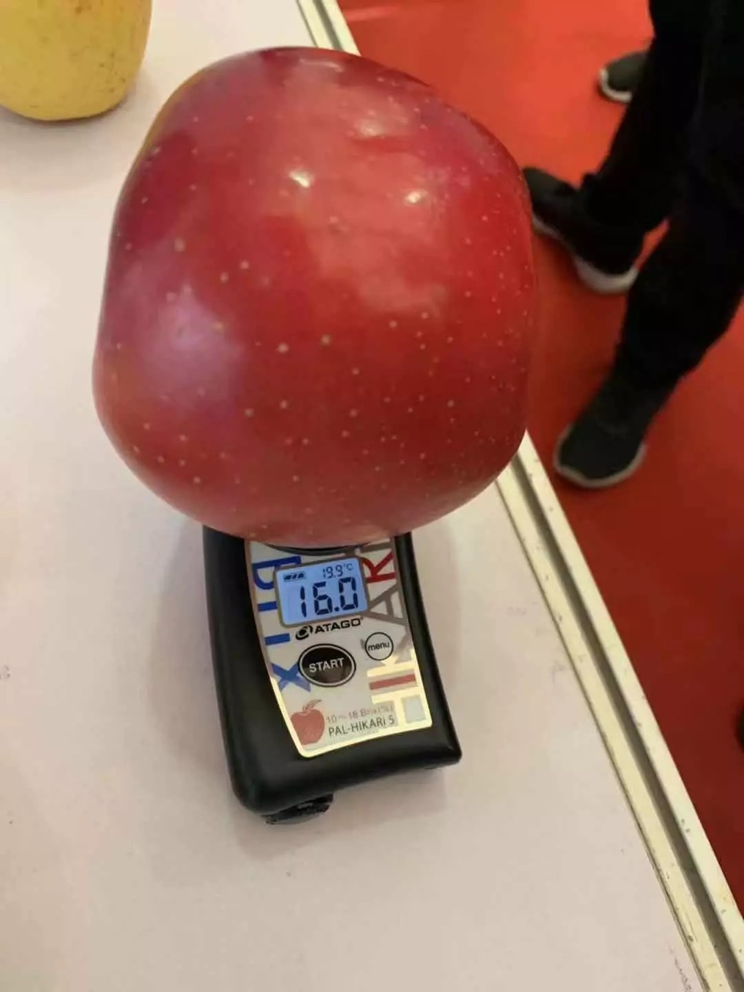 9.webp.jpg 9.webp.jpg