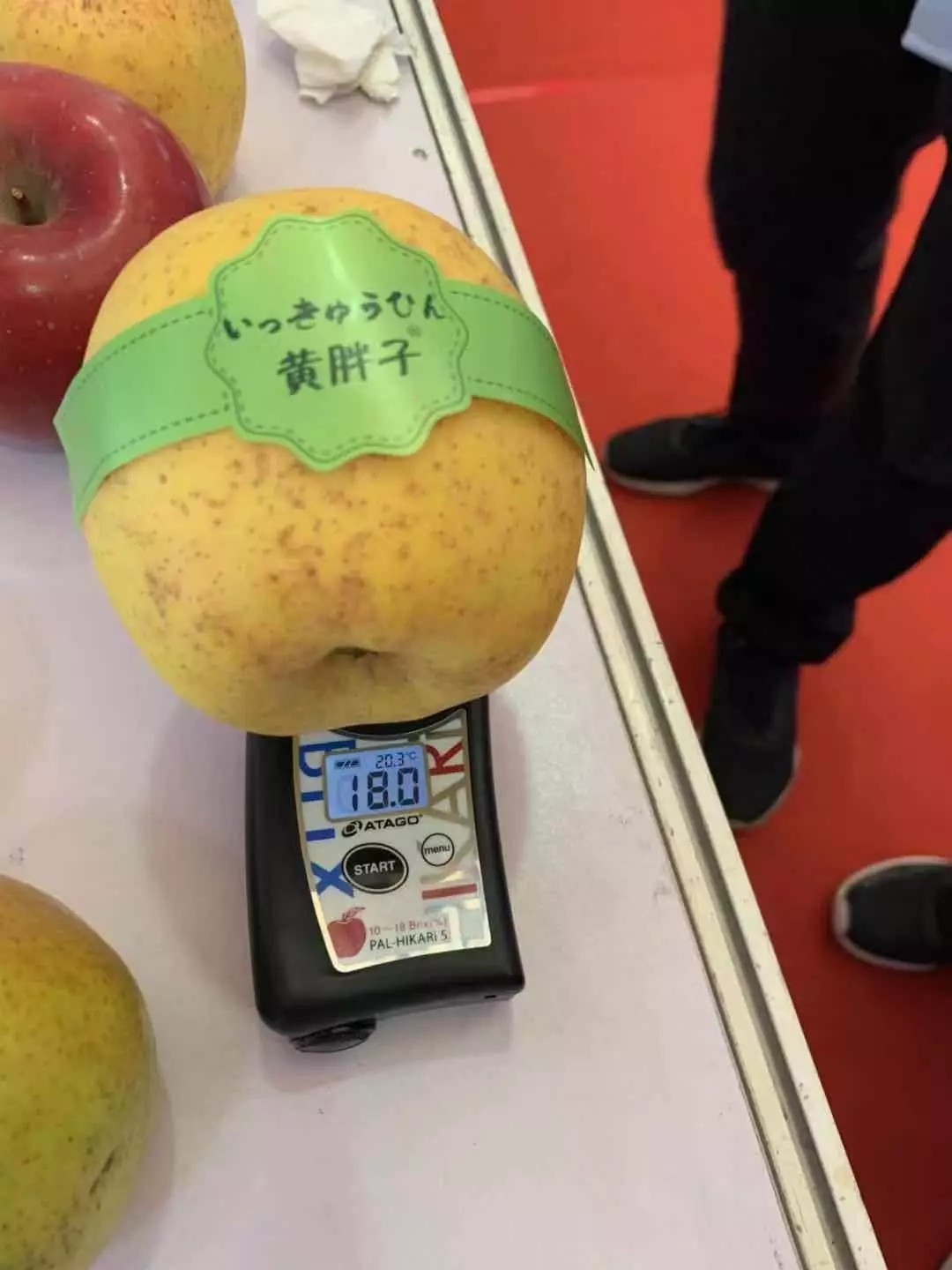 10.webp.jpg 10.webp.jpg